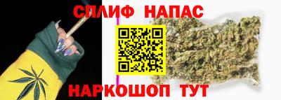 гидра Тверь