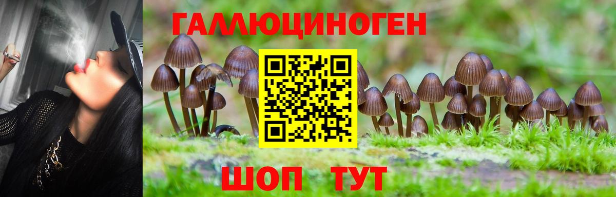 Псилоцибиновые грибы мицелий Норильск